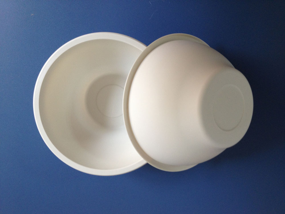 Biodegradable Food Container